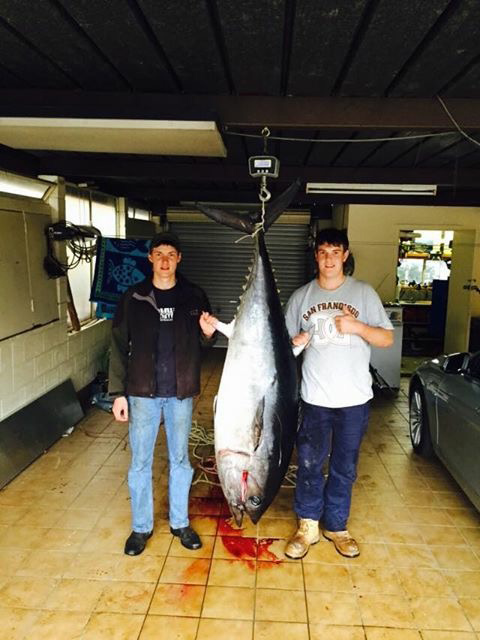 ANGLER: Jed Wallis SPECIES: Southern Bluefin Tuna WEIGHT: 122kgs LURE: JB Lures Micro Dingo.